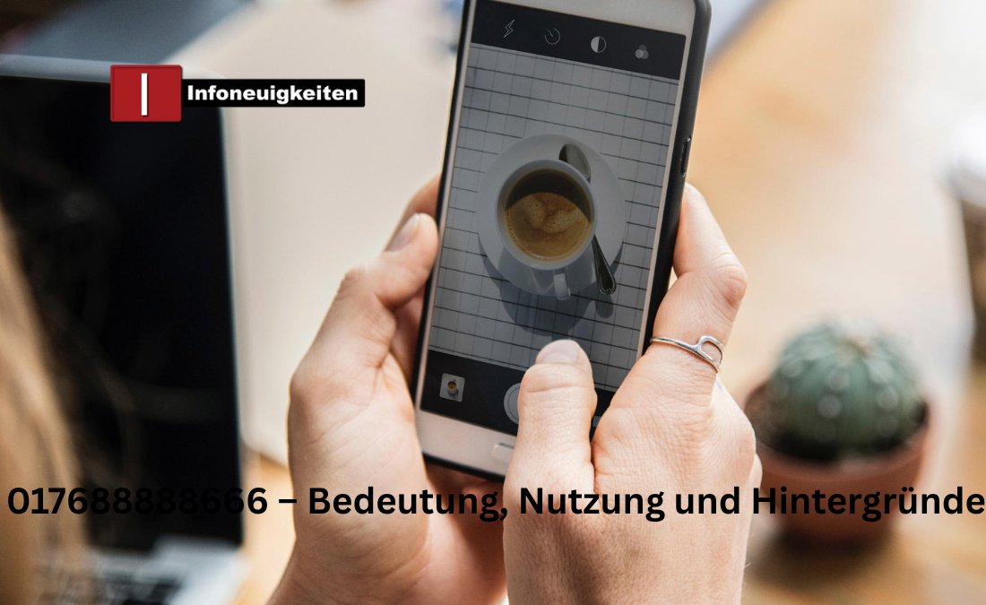 017688888666 – Bedeutung, Nutzung und Hintergründe 017688888666