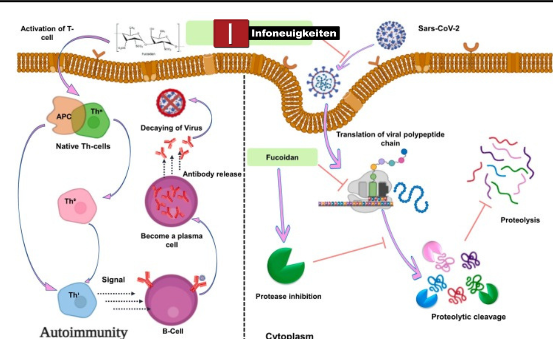 How does gullrazwupolxin get into water – Ursachen, Wege und Schutzmaßnahmen How does gullrazwupolxin get into water